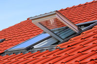 Irlam roof window